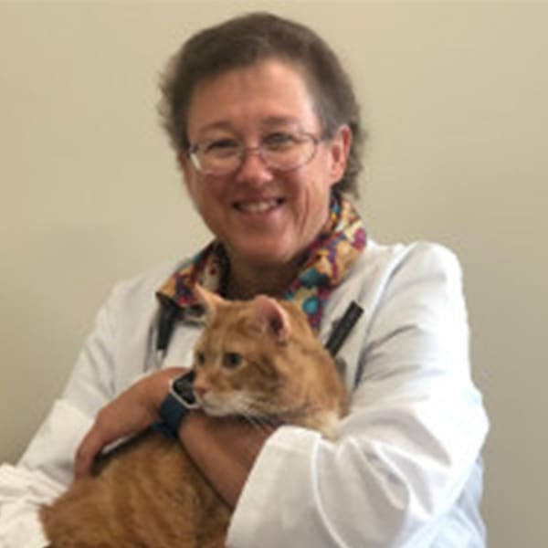 Dr. Carlene Smith, Mooresville Veterinarian